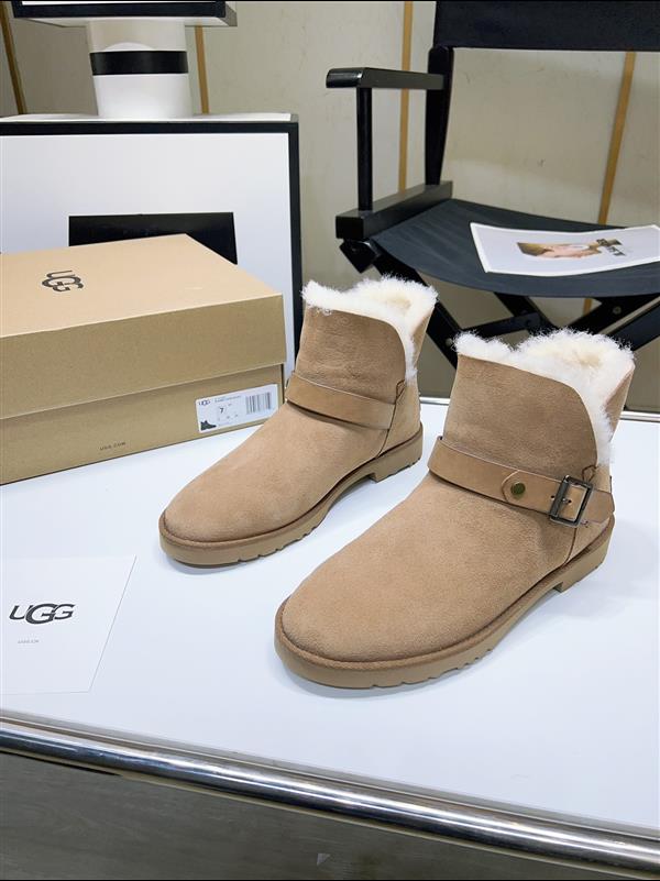 20243522378377 2802023